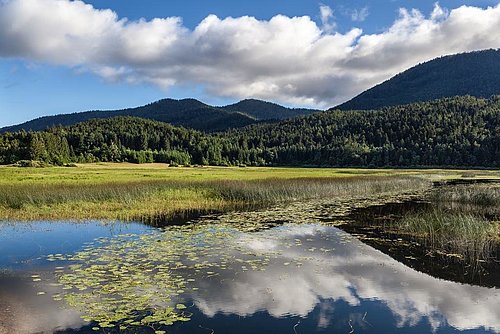 Cerkniško jezero