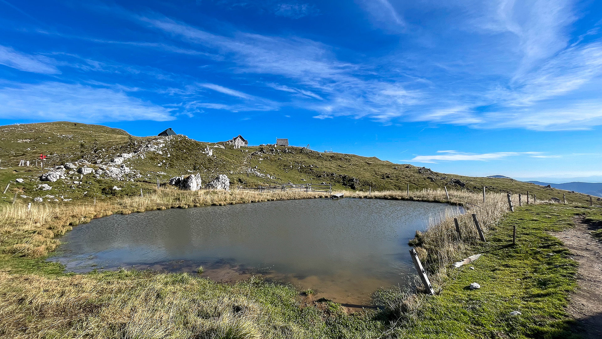Mlaka na pašniku na območju Nature 2000 Ratitovec (Foto: Vesna Stanić, Zavod Štirna)