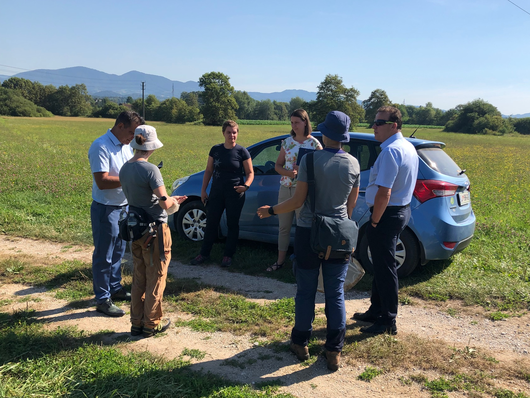 Terenski ogled Volček z Mestno občino Celje (Foto: Tanja Košar Starič, ZRSVN OE Celje)