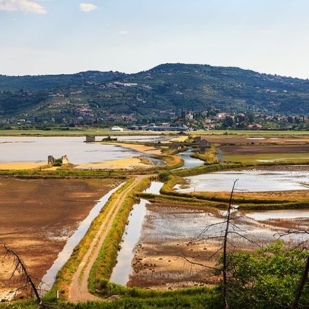 Slika ki ponazarja sklop Habitatni tipi